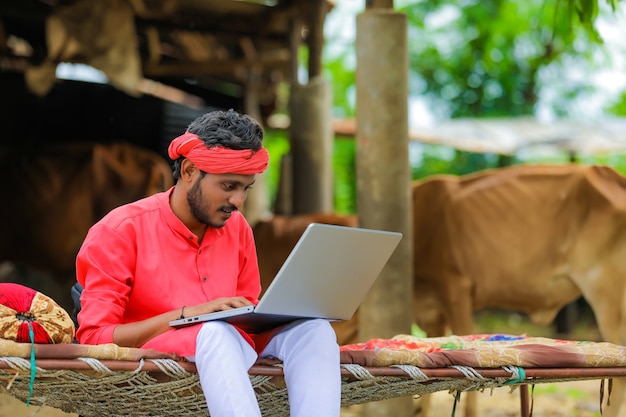 local custom website design bangladesh